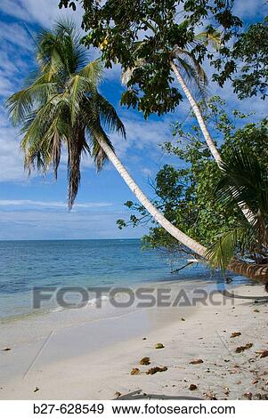 Cahuita National Park. Costa Rica View Large Photo Image Stock Photo - Cahuita National Park. Costa Rica. Fotosearch