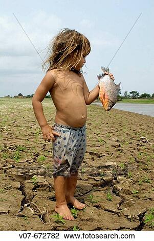 Cair?, holding a piranha in the Amazonas riverside. Brazil. View Large Photo Image Stock Image - Cair?, holding a piranha in the Amazonas riverside. Brazil.. Fotosearch