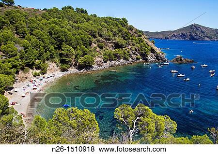 Cala Rosella, Roses, Costa Brava, Alt Emporda, Girona province, Catalonia, Spain View Large Photo Image Stock Photo - Cala Rosella, Roses, Costa Brava, Alt Emporda, Girona province, Catalonia, Spain. Fotosearch