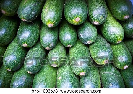 Stock Photo - Calabacines. Fotosearch