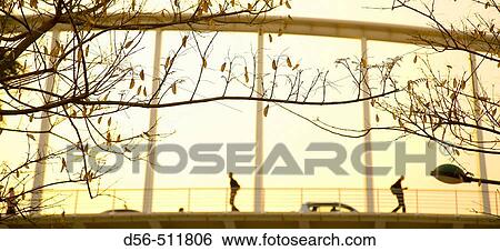 Calatrava bridge over the old bed of river Turia, Valencia View Large Photo Image Stock Photograph - Calatrava bridge over the old bed of river Turia, Valencia. Fotosearch