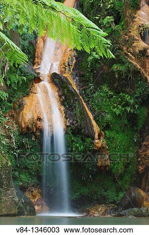 Caldeira Velha / Sao Miguel Island / Azores / Portugal View Large Photo Image Stock Image - Caldeira Velha / Sao Miguel Island / Azores / Portugal. Fotosearch