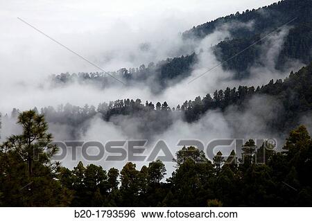 Stock Photograph - Caldera de Taburiente National Park, La Palma, Canary Islands, Spain.. Fotosearch