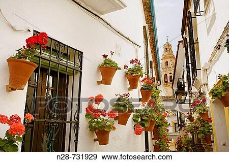 Calleja de las Flores and minaret tower of the Great Mosque in background, Cordoba. Andalusia, Spain View Large Photo Image Stock Photo - Calleja de las Flores and minaret tower of the Great Mosque in background, Cordoba. Andalusia, Spain. Fotosearch
