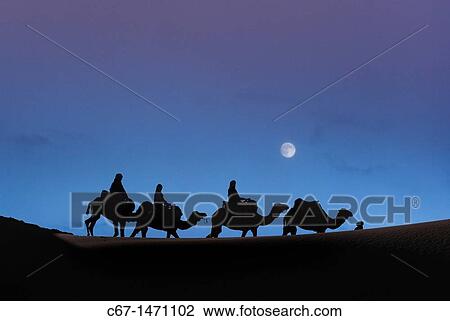 Camals at Dawn Erg Chebbi Dunes Sahara Desert Morocco North Africa March View Large Photo Image Stock Image - Camals at Dawn Erg Chebbi Dunes Sahara Desert Morocco North Africa March. Fotosearch