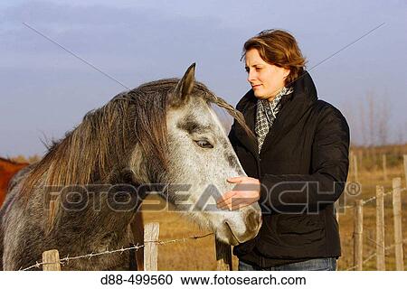 Camargue horse. France. View Large Photo Image Stock Image - Camargue horse. France.. Fotosearch
