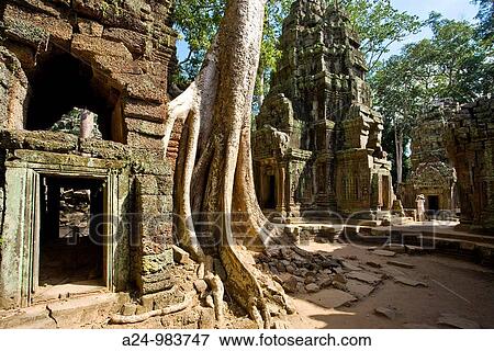 Cambodia-No 2009 Siem Reap City Angkor Temples W H Ta Prohm Temple. View Large Photo Image Stock Photo - Cambodia-No 2009 Siem Reap City Angkor Temples W H Ta Prohm Temple.. Fotosearch