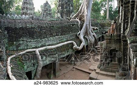 Cambodia-No 2009 Siem Reap City Angkor Temples W H Ta Prohm Temple. View Large Photo Image Stock Photography - Cambodia-No 2009 Siem Reap City Angkor Temples W H Ta Prohm Temple.. Fotosearch