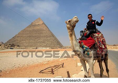 Camel at Pyramid complex at Giza, Egypt View Large Photo Image Stock Photography - Camel at Pyramid complex at Giza, Egypt. Fotosearch