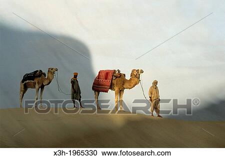 camel driver and dromadary in Lareguett dunes around Nefta, Tunisia, North Africa. View Large Photo Image Stock Image - camel driver and dromadary in Lareguett dunes around Nefta, Tunisia, North Africa.. Fotosearch