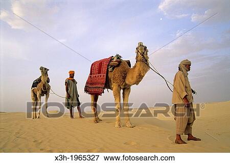 camel driver and dromadary in Lareguett dunes around Nefta, Tunisia, North Africa. View Large Photo Image Stock Photo - camel driver and dromadary in Lareguett dunes around Nefta, Tunisia, North Africa.. Fotosearch