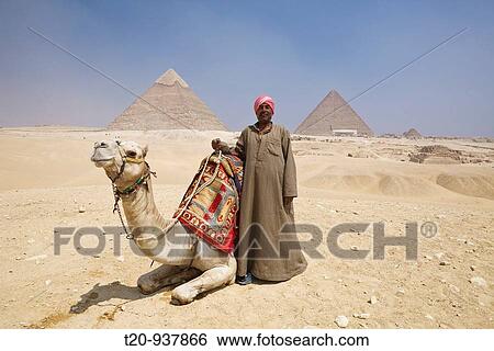 Camel Driver in Front of Pyramid of Gizeh, Cairo, Egypt View Large Photo Image Stock Photograph - Camel Driver in Front of Pyramid of Gizeh, Cairo, Egypt. Fotosearch
