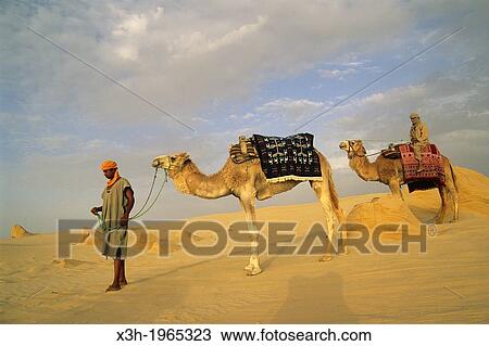 Stock Image - camel drivers and dromadary in Lareguett dunes around Nefta, Tunisia, North Africa.. Fotosearch