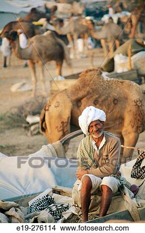 Camel fair in Pushkar. Rajasthan. India View Large Photo Image Picture - Camel fair in Pushkar. Rajasthan. India. Fotosearch