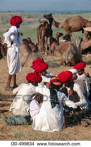 Picture - Camel fair, Pushkar. Rajasthan, India. Fotosearch