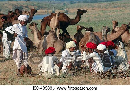 Stock Photography - Camel fair, Pushkar. Rajasthan, India. Fotosearch