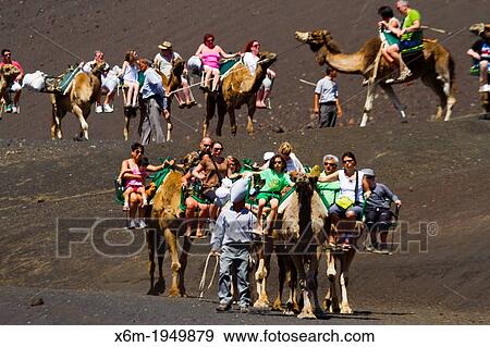 Camel ride. Timanfaya National Park. Lanzarote, Canary Islands, Atlantic Ocean, Spain. View Large Photo Image Stock Photo - Camel ride. Timanfaya National Park. Lanzarote, Canary Islands, Atlantic Ocean, Spain.. Fotosearch