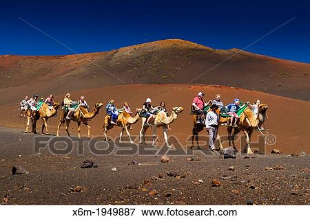 Camel ride. Timanfaya National Park. Lanzarote, Canary Islands, Atlantic Ocean, Spain. View Large Photo Image Stock Photo - Camel ride. Timanfaya National Park. Lanzarote, Canary Islands, Atlantic Ocean, Spain.. Fotosearch