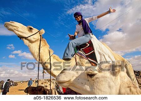 Camel rider International Festival of the Sahara Douz Southern Tunisia. View Large Photo Image Stock Photograph - Camel rider International Festival of the Sahara Douz Southern Tunisia.. Fotosearch