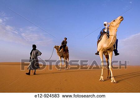 Camel riding near Chinguetti, Adrar Plateau, Sahara desert, Mauritania View Large Photo Image Stock Image - Camel riding near Chinguetti, Adrar Plateau, Sahara desert, Mauritania. Fotosearch