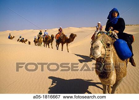 Camel trip by the desert Southern Tunisia. View Large Photo Image Stock Photo - Camel trip by the desert Southern Tunisia.. Fotosearch