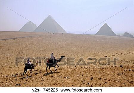 Camels and Pyramids, Giza, Cairo, Egypt, View Large Photo Image Stock Photography - Camels and Pyramids, Giza, Cairo, Egypt,. Fotosearch