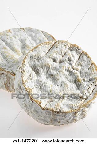 CAMEMBERT CHEESE View Large Photo Image Stock Image - CAMEMBERT CHEESE. Fotosearch