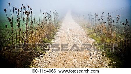 ? Camino de Santiago? Way Of St. James in Navarre, Spain View Large Photo Image Stock Photograph - ? Camino de Santiago? Way Of St. James in Navarre, Spain. Fotosearch