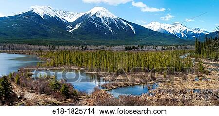 Canada, Alberta, Banff National Park Glacier fed lake and marshlands valley below the Rocky Mountains View Large Photo Image Picture - Canada, Alberta, Banff National Park Glacier fed lake and marshlands valley below the Rocky Mountains. Fotosearch