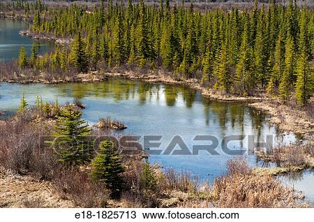 Canada, Alberta, Banff National Park Glacier fed lake and marshlands in a valley in the Rocky Mountains View Large Photo Image Stock Image - Canada, Alberta, Banff National Park Glacier fed lake and marshlands in a valley in the Rocky Mountains. Fotosearch