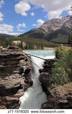 Canada, Alberta, Jasper National Park, Athabasca River Falls. View Large Photo Image Stock Image - Canada, Alberta, Jasper National Park, Athabasca River Falls.. Fotosearch
