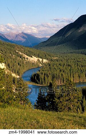 CANADA, ALBERTA, ROCKY MOUNTAINS, BANFF NATIONAL PARK, BOW RIVER WITH LODGEPOLE PINE FOREST. View Large Photo Image Stock Image - CANADA, ALBERTA, ROCKY MOUNTAINS, BANFF NATIONAL PARK, BOW RIVER WITH LODGEPOLE PINE FOREST.. Fotosearch