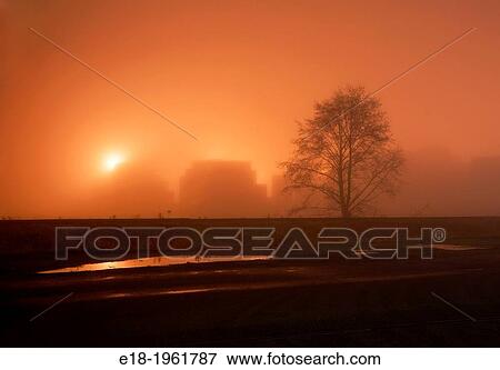 Canada, BC, Delta. Container storage yard on a foggy winter night. View Large Photo Image Stock Photo - Canada, BC, Delta. Container storage yard on a foggy winter night.. Fotosearch