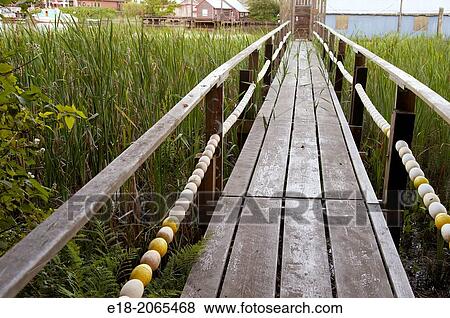 Canada, BC, Delta. Ladner marsh. A wooden footbridge leads to Ladner Harbour over a marsh. View Large Photo Image Stock Photo - Canada, BC, Delta. Ladner marsh. A wooden footbridge leads to Ladner Harbour over a marsh.. Fotosearch