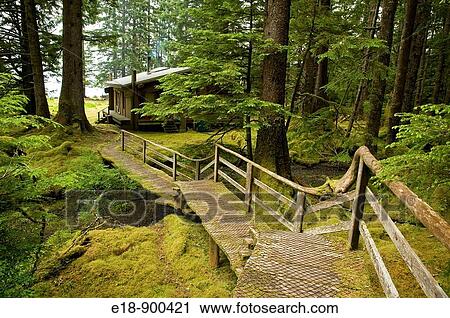 Stock Image - Canada, BC, Queen Charlotte Islands, Gwaii Haanas National Park, Windy Bay,? hlk? yah Llnagaay?. Boardwalk to the cabin of the Haida Watchmen.. Fotosearch