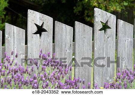 Canada, BC, Saltspring Island. Decorative garden fence with stars cut through the wood. View Large Photo Image Stock Image - Canada, BC, Saltspring Island. Decorative garden fence with stars cut through the wood.. Fotosearch