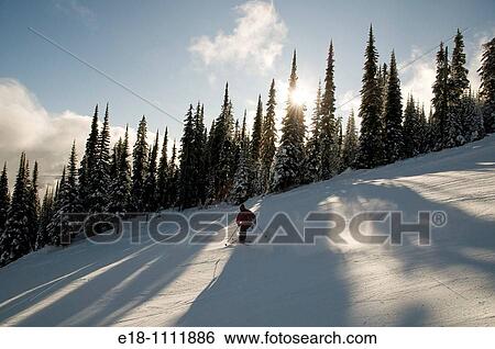 Stock Photograph - Canada, BC, Sun Peaks Ski Resort Skier on freshly groomed ski run. Fotosearch