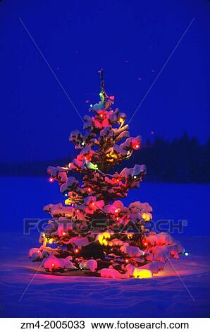 CANADA, CANADIAN ROCKIES, ALBERTA, JASPER PARK LODGE, HOLIDAY LIGHTS ON TREE. View Large Photo Image Stock Image - CANADA, CANADIAN ROCKIES, ALBERTA, JASPER PARK LODGE, HOLIDAY LIGHTS ON TREE.. Fotosearch