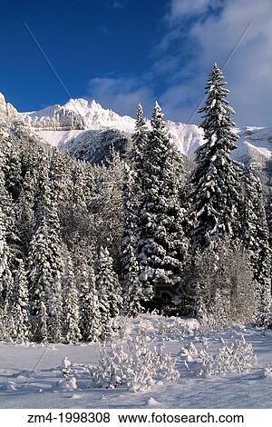 CANADA, CANADIAN ROCKIES, ALBERTA, JASPER NATIONAL PARK, ICEFIELDS PARKWAY, MT. KERKESLIN. View Large Photo Image Stock Photo - CANADA, CANADIAN ROCKIES, ALBERTA, JASPER NATIONAL PARK, ICEFIELDS PARKWAY, MT. KERKESLIN.. Fotosearch