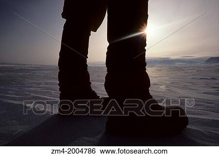 CANADA, NUNAVUT, ELLESMERE ISLAND, FROZEN LAKE HAZEN, TWO LEGS IN SUNSET. View Large Photo Image Stock Photograph - CANADA, NUNAVUT, ELLESMERE ISLAND, FROZEN LAKE HAZEN, TWO LEGS IN SUNSET.. Fotosearch