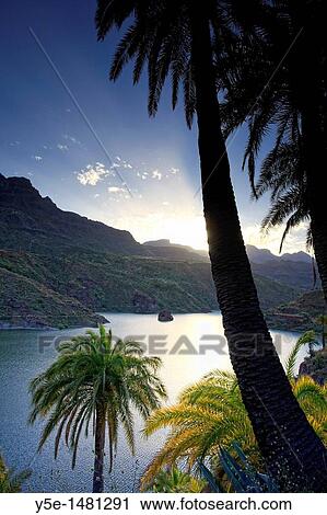 Canary Islands, Gran Canaria, Santa Lucia, La Sorrueda Reservoir View Large Photo Image Stock Image - Canary Islands, Gran Canaria, Santa Lucia, La Sorrueda Reservoir. Fotosearch