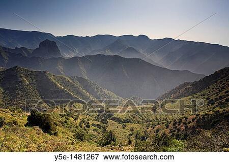 Stock Photo - Canary Islands, La Gomera, North Coast. Fotosearch