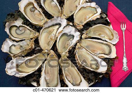 Cancale creuse number 2 oyster platter with a red napkin and a silver fork. Brittany. France. View Large Photo Image Stock Image - Cancale creuse number 2 oyster platter with a red napkin and a silver fork. Brittany. France.. Fotosearch