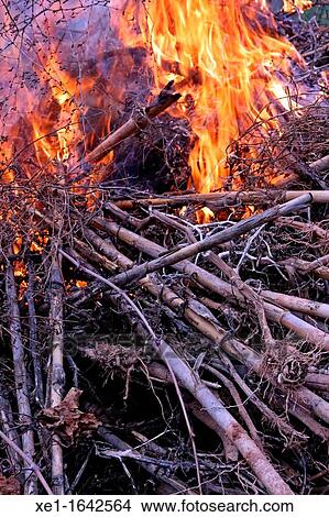 cane burning, waste, Bages, Catalonia, Spain. View Large Photo Image Picture - cane burning, waste, Bages, Catalonia, Spain.. Fotosearch