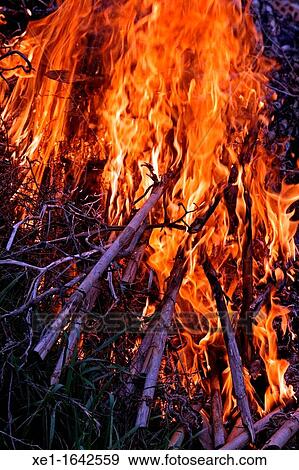 cane burning, waste, Bages, Catalonia, Spain. View Large Photo Image Stock Photo - cane burning, waste, Bages, Catalonia, Spain.. Fotosearch