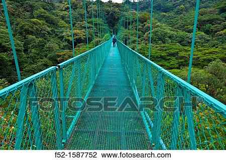 Canopy Trail, Santa Elena Cloud Forest Nature Reserve, Costa Rica, Central America, America. View Large Photo Image Stock Image - Canopy Trail, Santa Elena Cloud Forest Nature Reserve, Costa Rica, Central America, America.. Fotosearch
