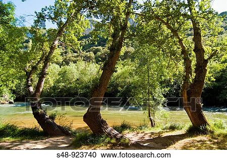 Canyon of Lobos Ebro. Burgos. Spain. View Large Photo Image Stock Image - Canyon of Lobos Ebro. Burgos. Spain.. Fotosearch