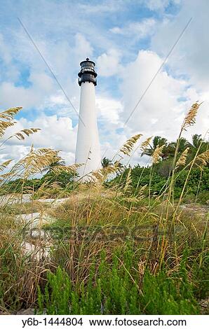 Cape Florida Lighthouse located in the Bill Baggs State Recreation Area Key Biscayne, Florida View Large Photo Image Picture - Cape Florida Lighthouse located in the Bill Baggs State Recreation Area Key Biscayne, Florida. Fotosearch