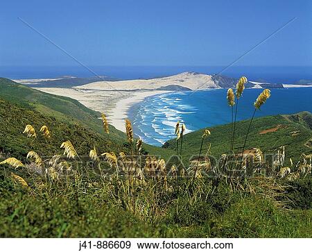Cape Maria Van Diemen Northland New Zealand View Large Photo Image Stock Photo - Cape Maria Van Diemen Northland New Zealand. Fotosearch