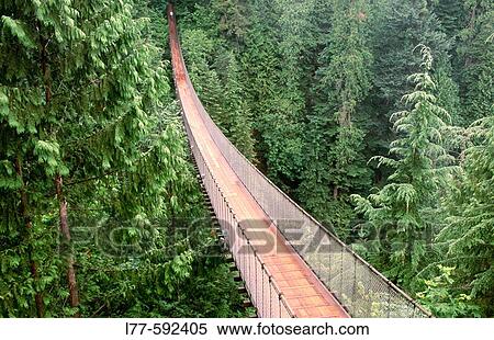 Stock Photography - Capilano suspension bridge. Vancouver. British Columbia. Canada.. Fotosearch
